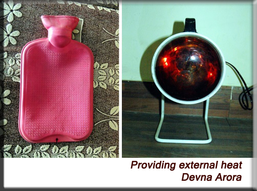 Devna Arora - Providing external heat